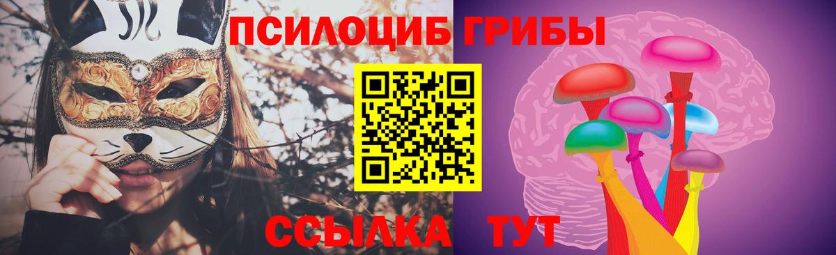 Псилоцибиновые грибы Psilocybe  Вход с VPN  Псилоцибиновые грибы Magic Shrooms  Шебекино 